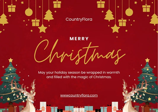 Merry Christmas Greeting