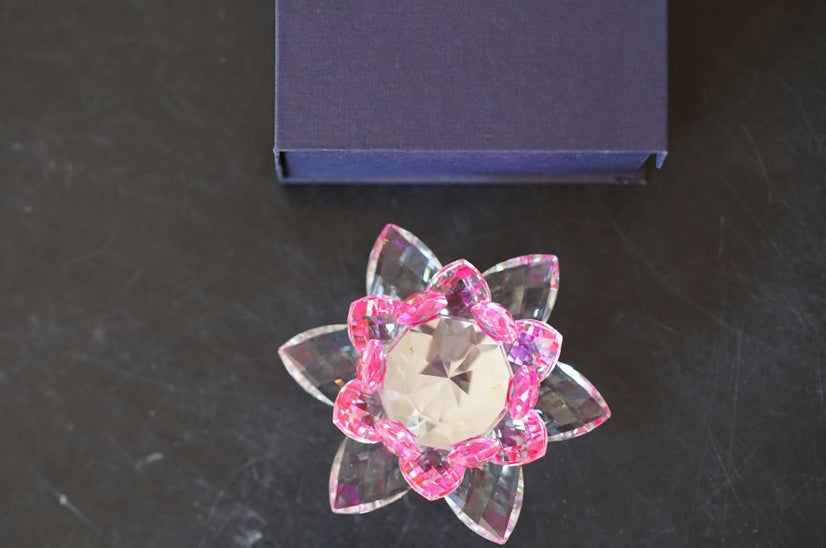Lotus Revoling Pink